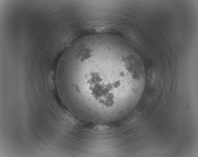 X0000061740650200512161651