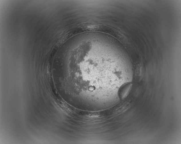 X0000061740651200512161651