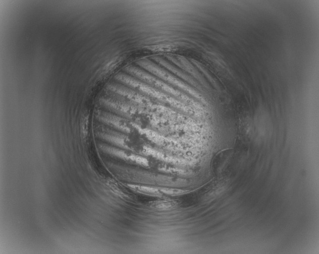 X0000061740652200512161651