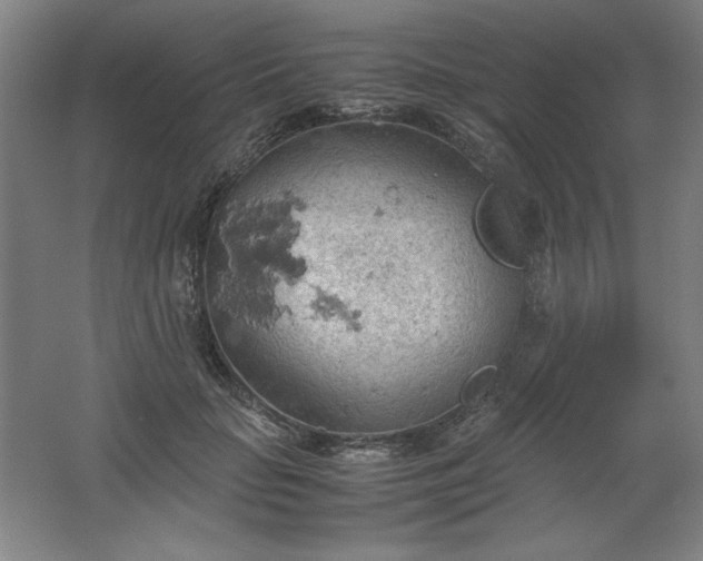 X0000061740653200512161651