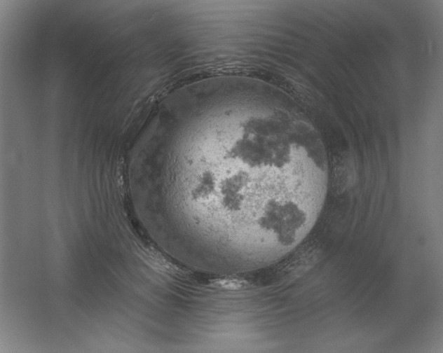 X0000061740654200512161651