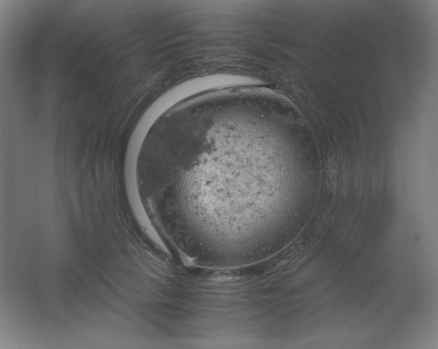 X0000061740657200512161651