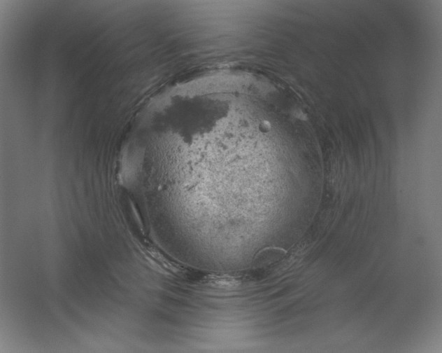 X0000061740658200512161651