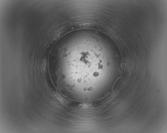 X0000061740660200512161651