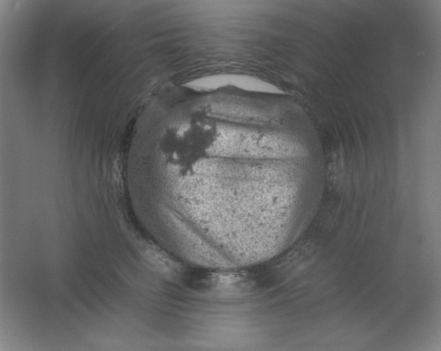 X0000061740662200512161651