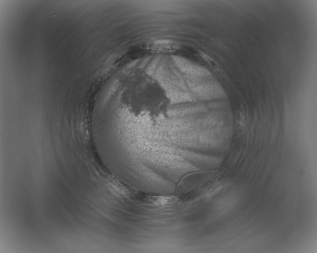 X0000061740663200512161651