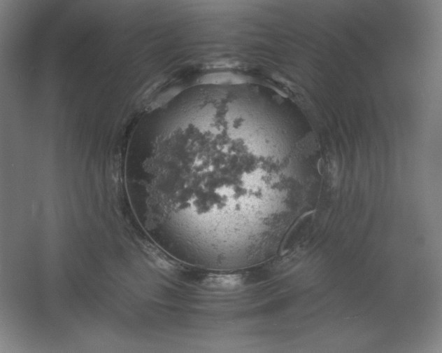 X0000061740665200512161651