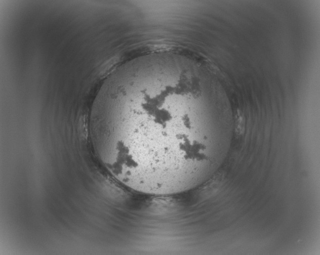 X0000061740666200512161651