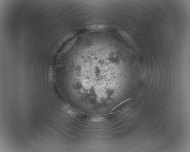 X0000061740669200512161651