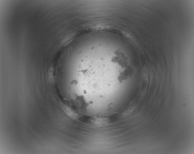 X0000061740670200512161651