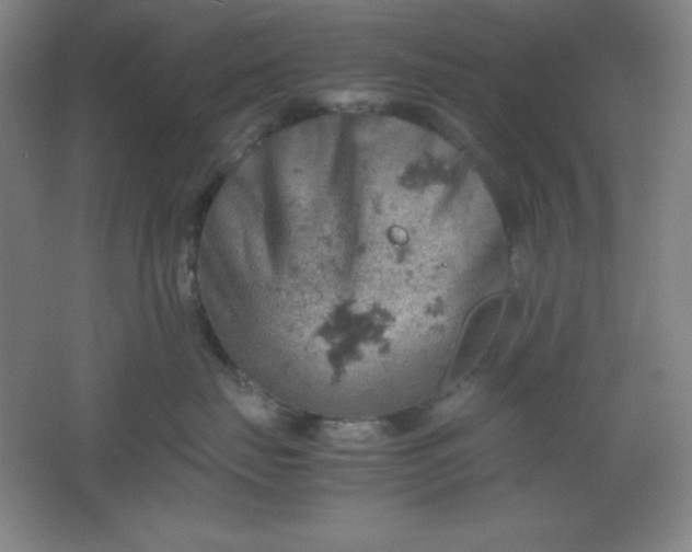 X0000061740671200512161651