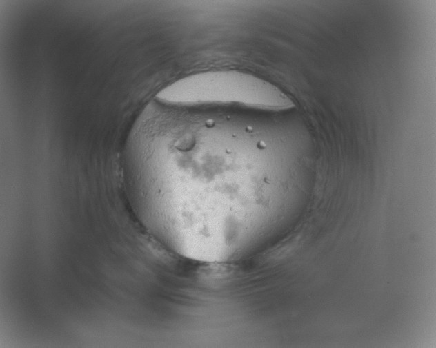 X0000061740672200512161651