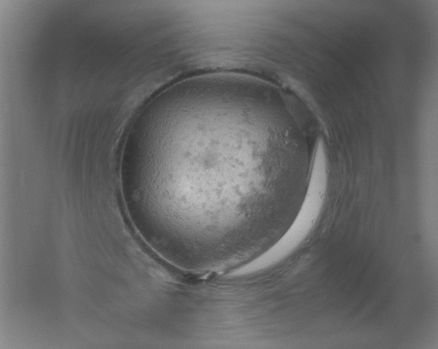 X0000061740673200512161650