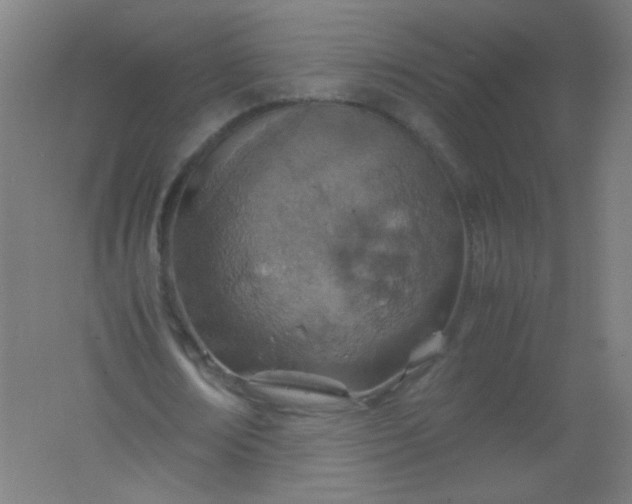 X0000061740674200512161650