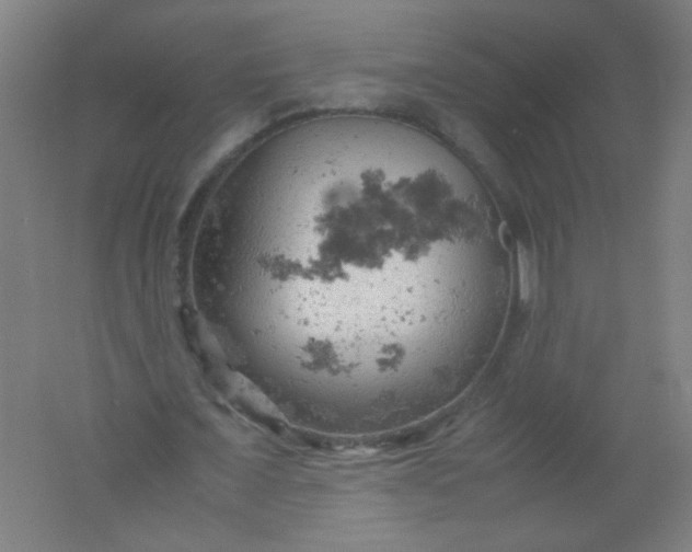 X0000061740675200512161650