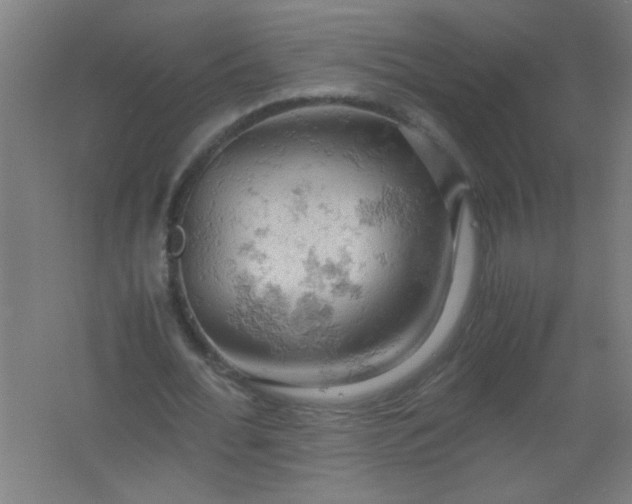 X0000061740676200512161650