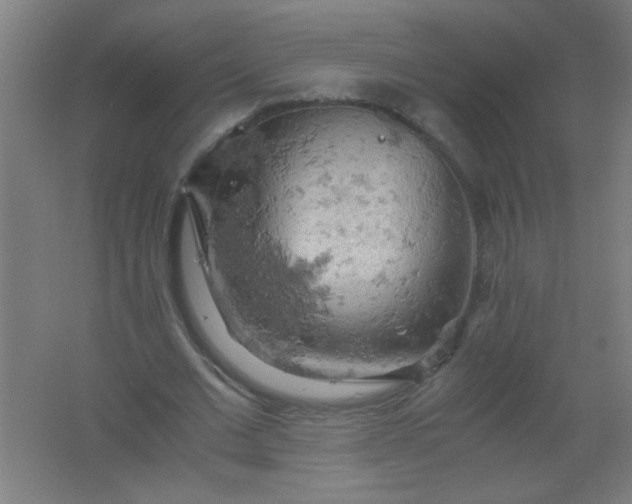 X0000061740677200512161650