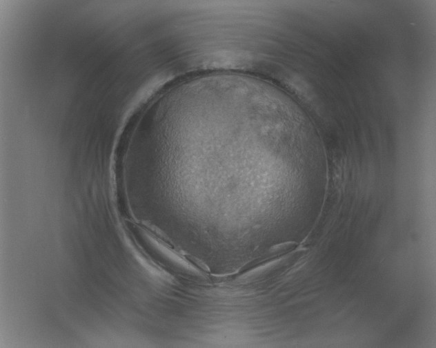 X0000061740678200512161650