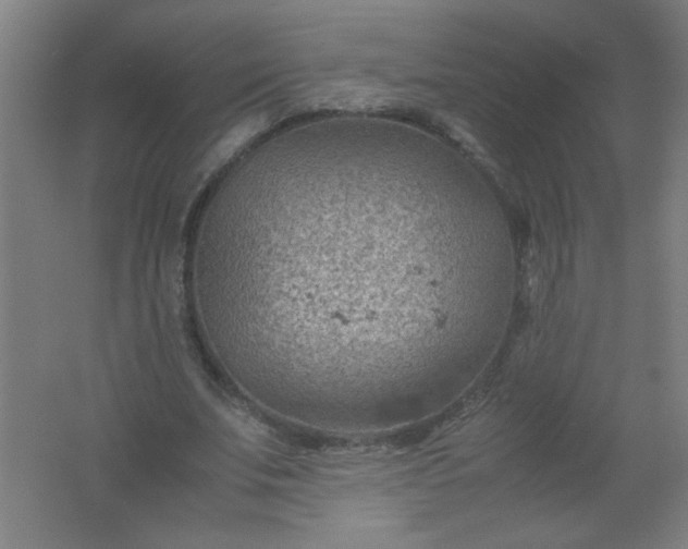 X0000061740679200512161650