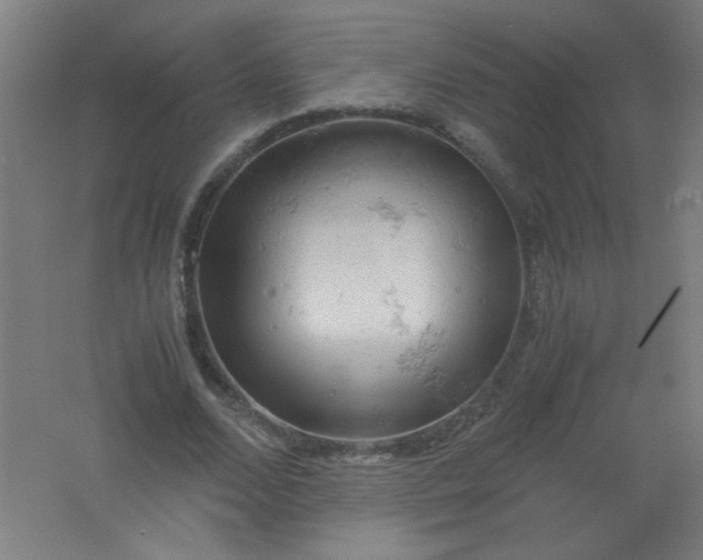 X0000061740680200512161650