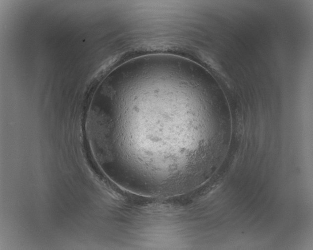 X0000061740681200512161650