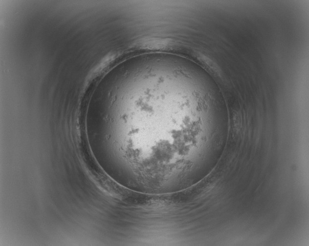 X0000061740682200512161650