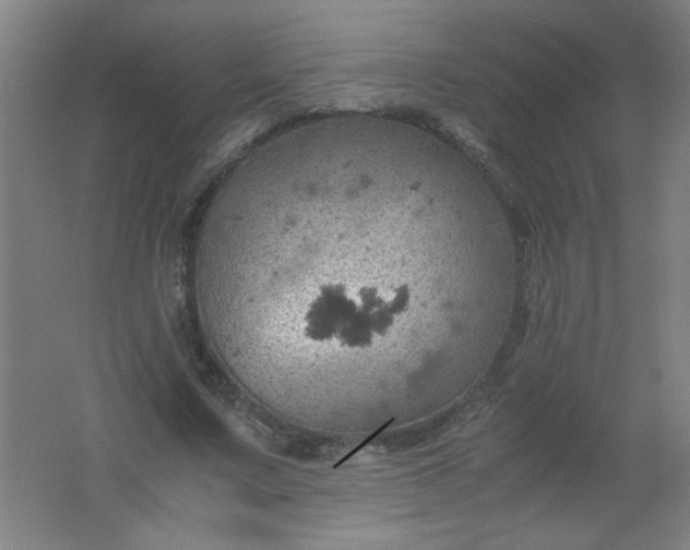 X0000061740683200512161650