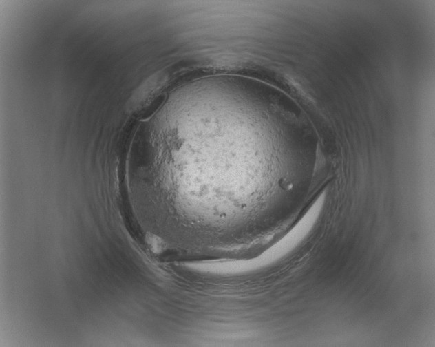 X0000061740685200512161650