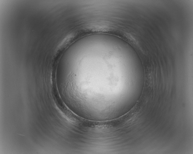 X0000061740686200512161650