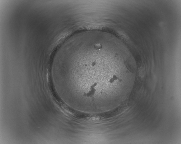 X0000061740687200512161650