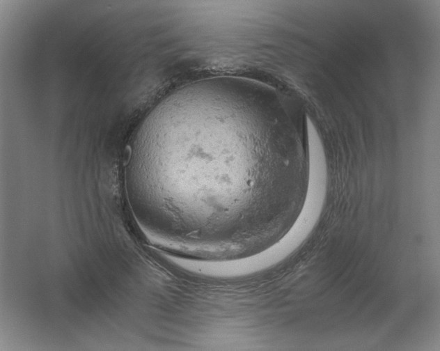 X0000061740689200512161650