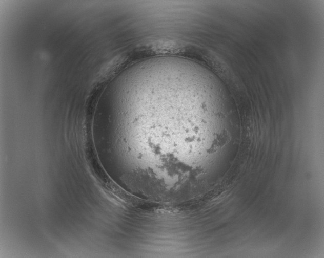 X0000061740690200512161650