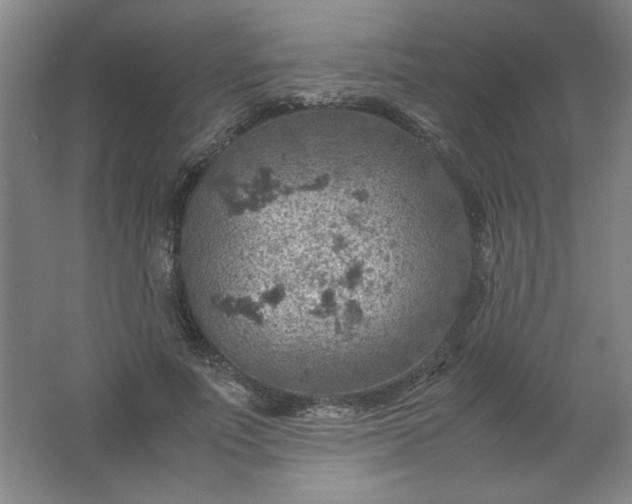 X0000061740691200512161650