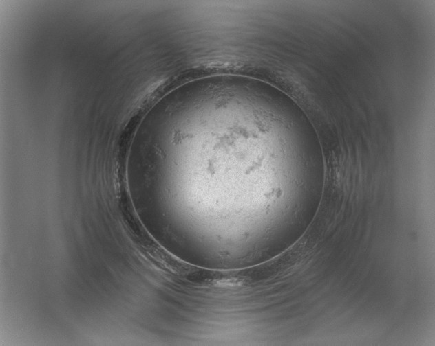 X0000061740692200512161650