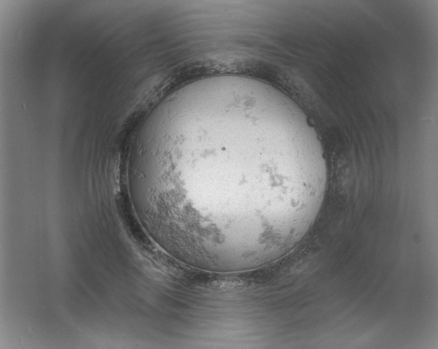 X0000061740694200512161650