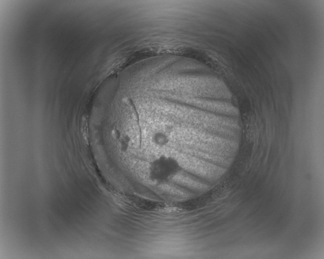 X0000061740695200512161650