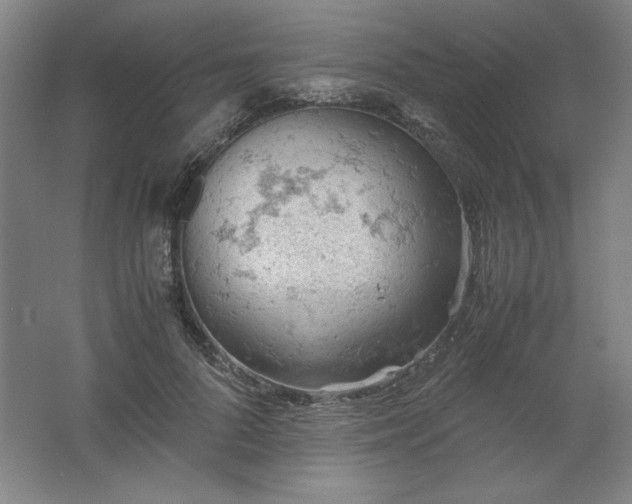 X0000061740696200512161650