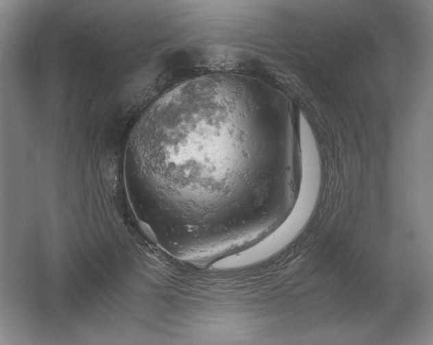 X0000061740697200512161650