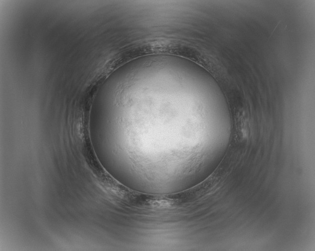 X0000061740698200512161650