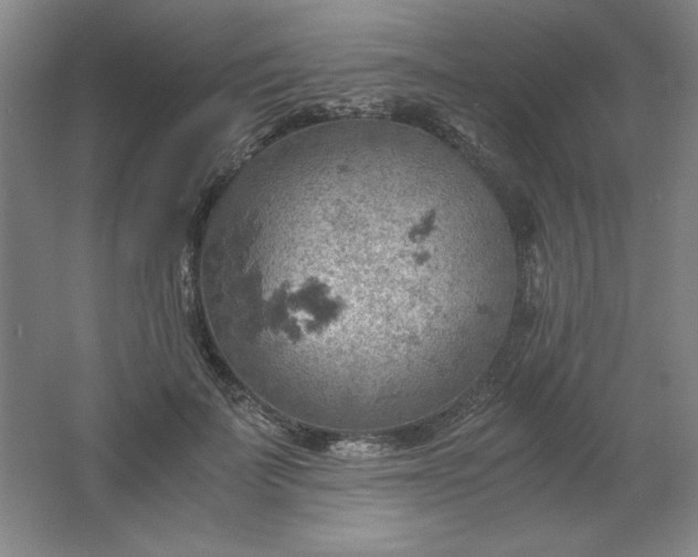 X0000061740699200512161650