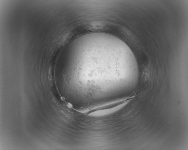 X0000061740700200512161650