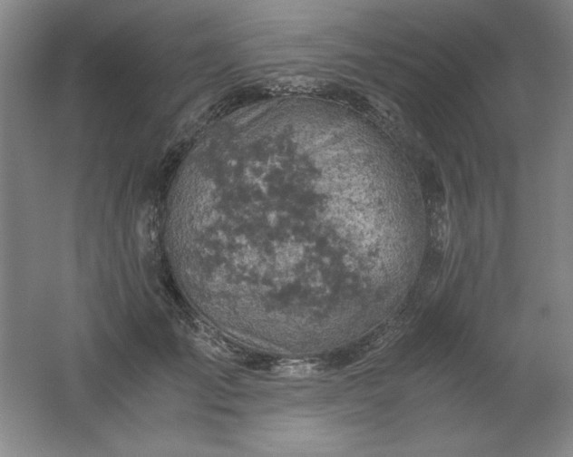 X0000061740701200512161650