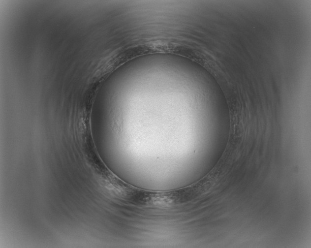 X0000061740702200512161650