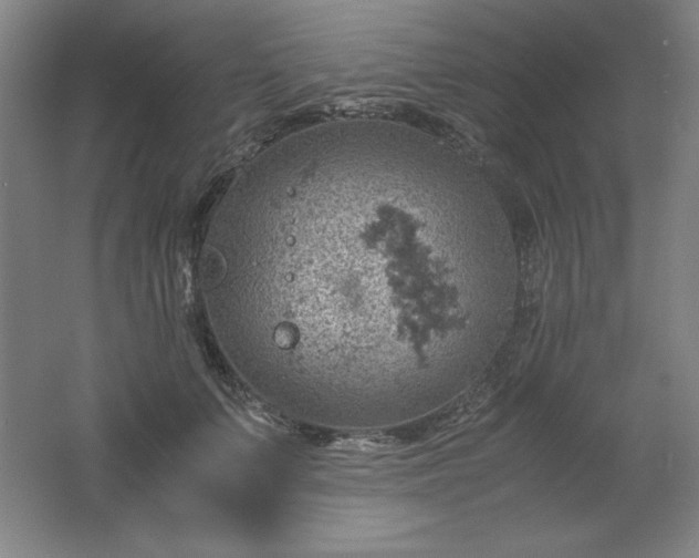 X0000061740703200512161650