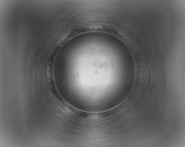 X0000061740704200512161650