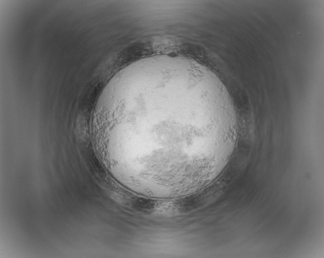 X0000061740705200512161650