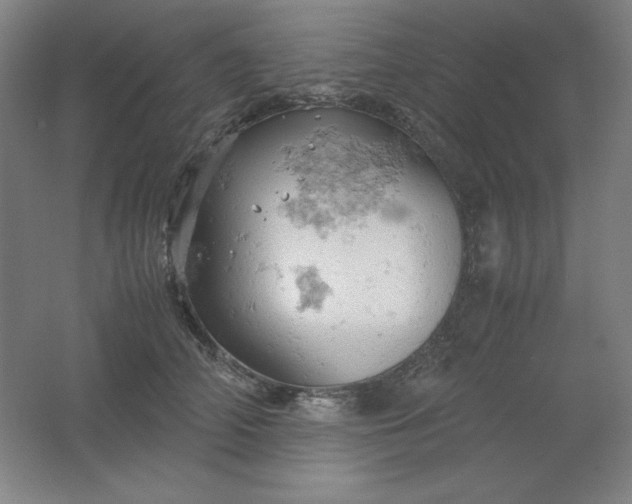 X0000061740706200512161650