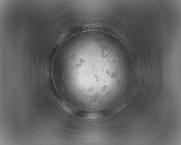 X0000061740708200512161650