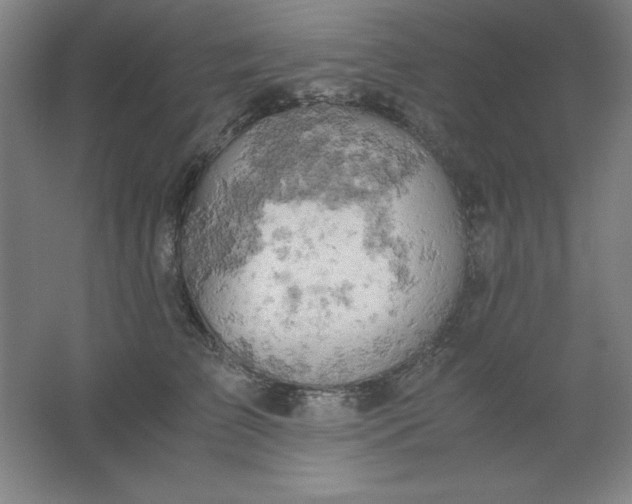 X0000061740709200512161650