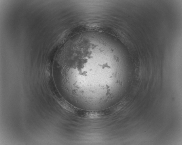 X0000061740710200512161650